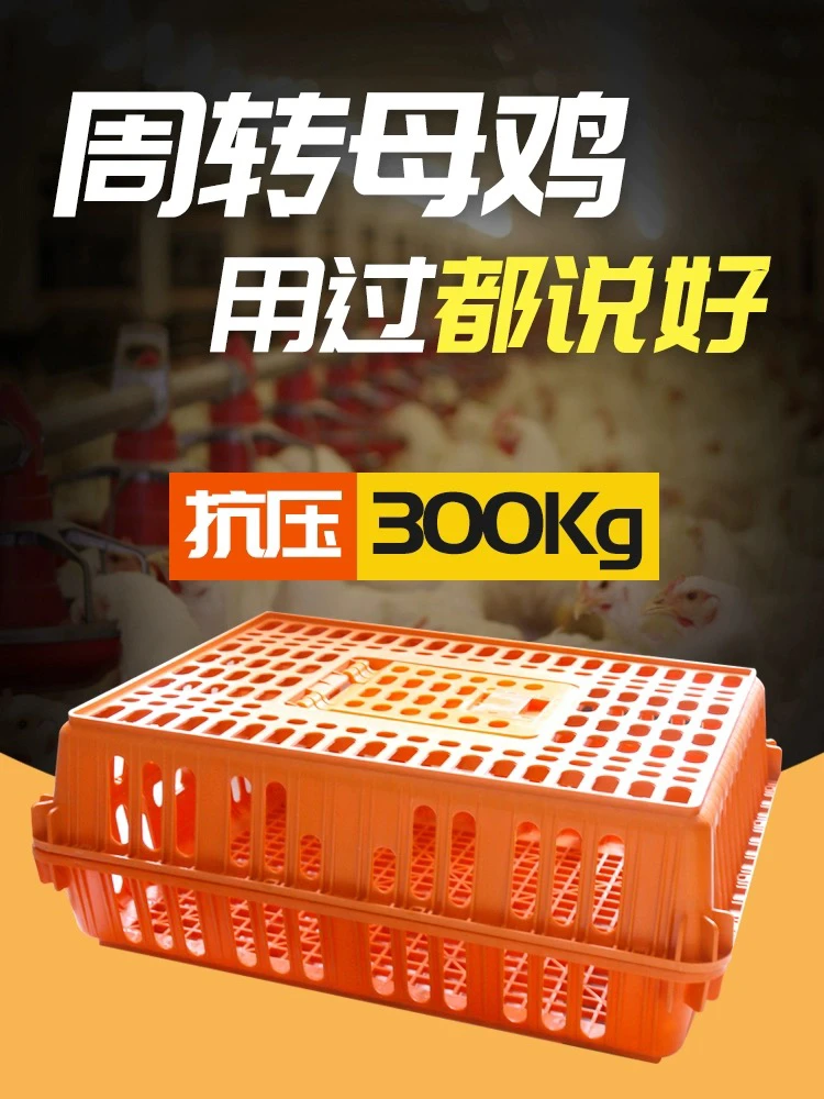 【10个装】定制塑料养殖场运输笼加厚鸡笼鸭笼兔鸽子笼全环保抗压