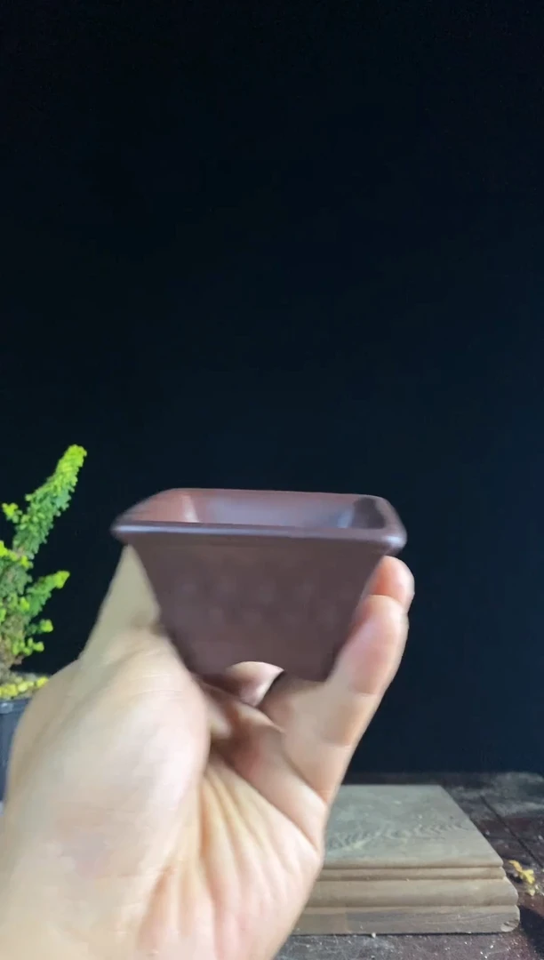 【闪购商品】红陶紫砂盆