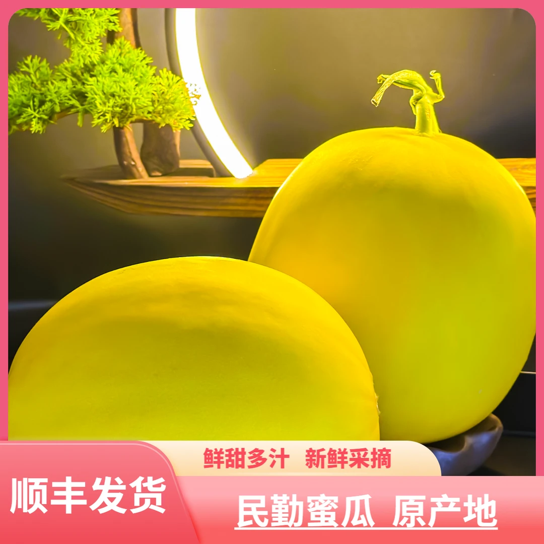【舍尖技艺】甘肃民勤蜜瓜金红宝原产地大果香甜爆汁新鲜应季水果