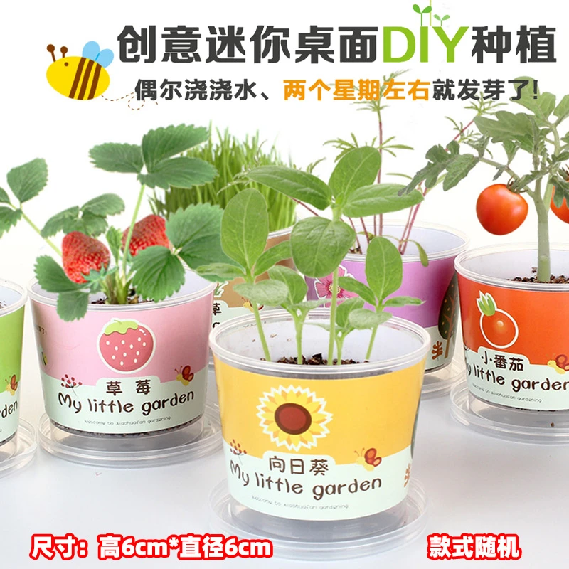 六一儿童节学生奖品创意奖励义卖小商品幼儿园全班生日分享小礼物