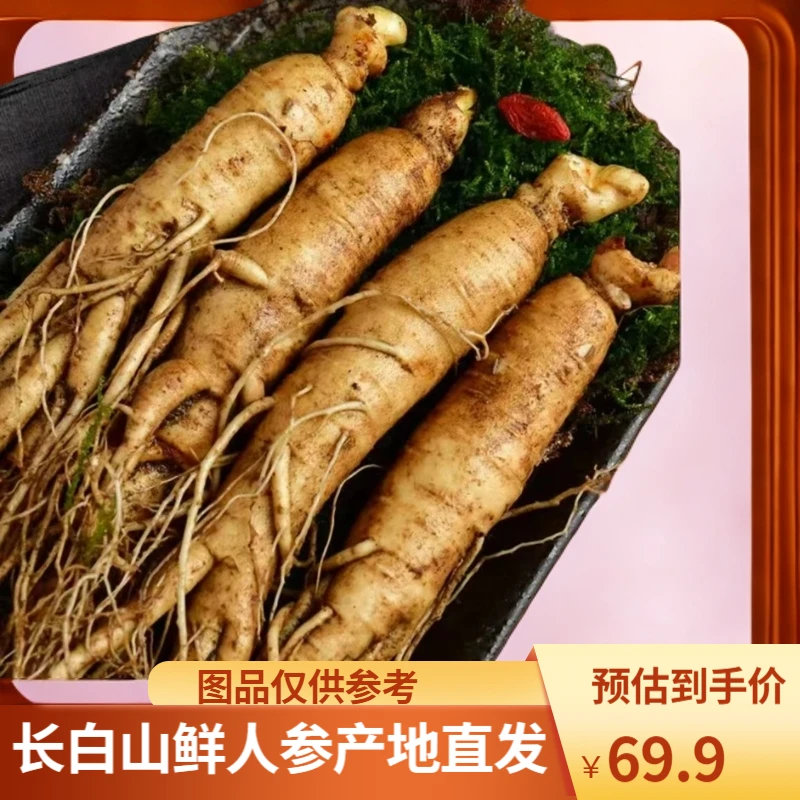 【单支45-60克】发200g（5支左右）长白山鲜人参产地直发泡水煲汤泡酒