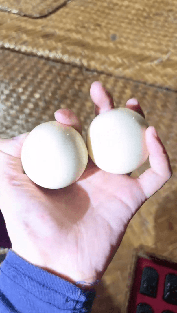 【闪购商品】玛瑙/玉髓1未镶嵌0115羊羊羊羊羊羊羊羊