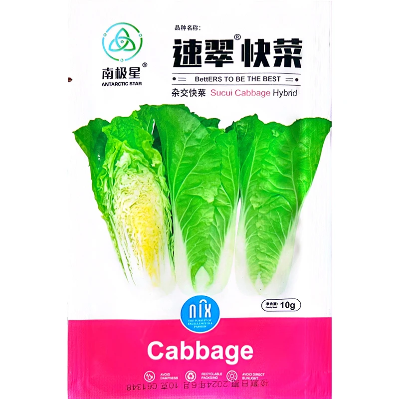 速翠快菜种子四季青菜小白菜种籽盆栽菜籽叶菜种子蔬菜孑籽种