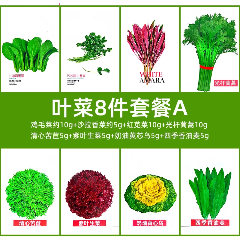 【青菜八件套种子组合】青菜组合小葱芹菜四季盆栽蔬菜种子