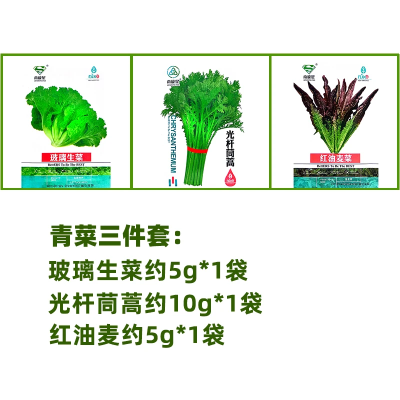 【青菜三件套种子组合】青菜组合小葱芹菜四季盆栽蔬菜种子