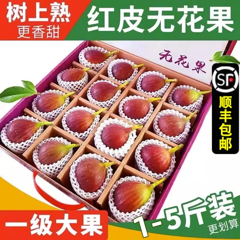 四川无花果当季水果软糯香甜树上的糖包子新鲜现摘现发