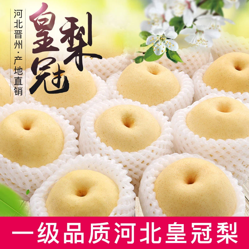河北皇冠梨整箱包邮新鲜水果梨子5斤3斤当季雪梨鸭梨砀山梨香