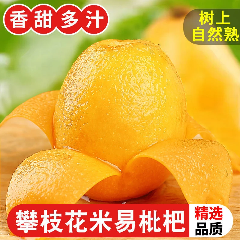 【爆甜秒发】云南蒙自枇杷新鲜水果琵琶大果现摘非米易化痰甜枇杷