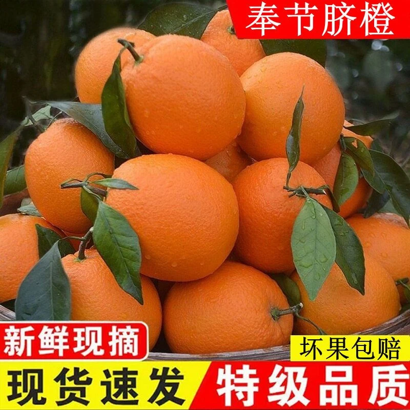 重庆奉节脐橙新鲜纽荷尔包邮孕妇应季水果鹅蛋橙子脐橙薄皮包邮