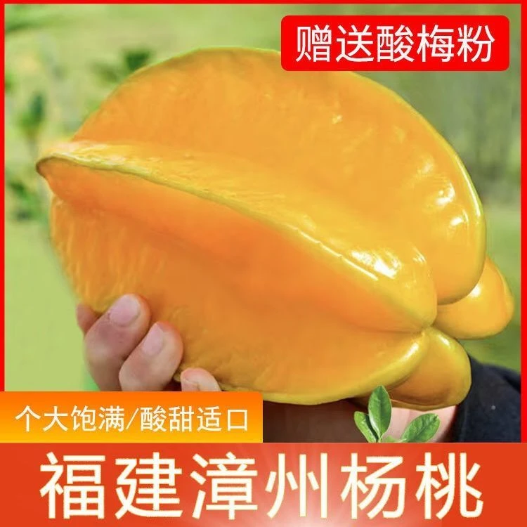 降火水果清火水果甜杨桃新鲜杨桃水果新鲜黄金杨桃应季水果批发