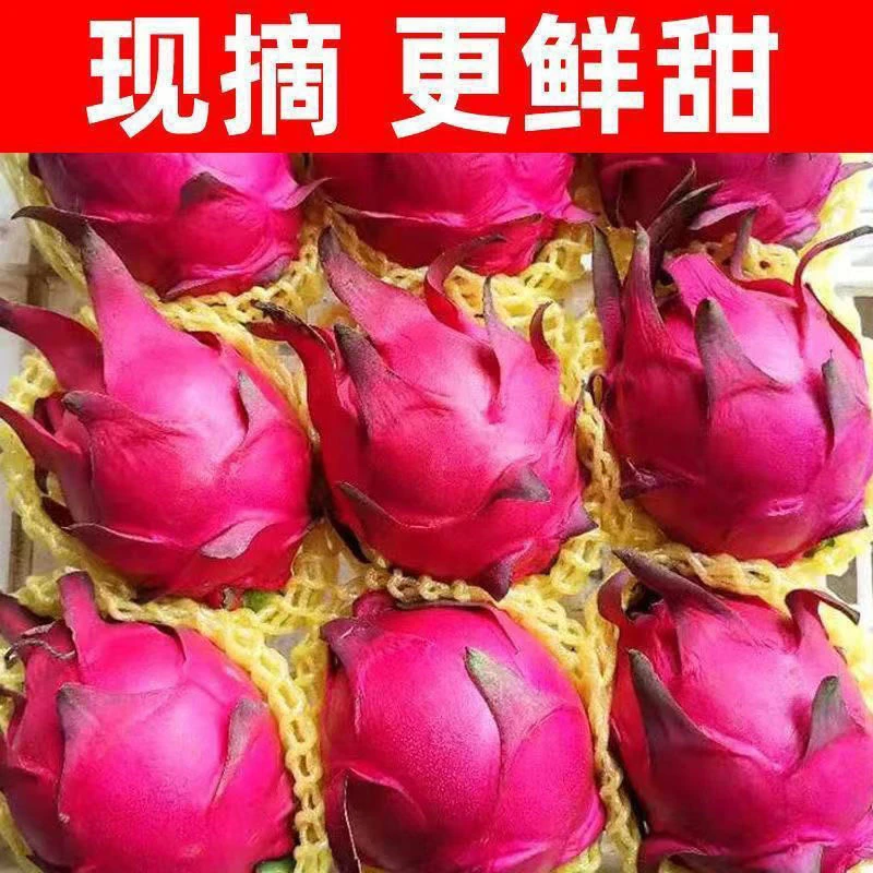海南火龙果整箱新鲜现摘5/3/1斤红心火龙果批发薄皮味甜孕妇果鲜