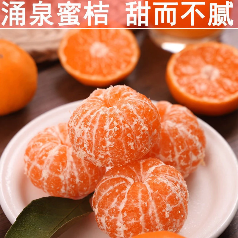 正宗临海涌泉蜜橘无籽新鲜采摘早熟宫川现摘现发应季水果