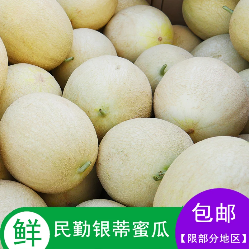 【顺丰快递】甘肃民勤新鲜银蒂白兰瓜7-10斤装，放两天口感更软糯