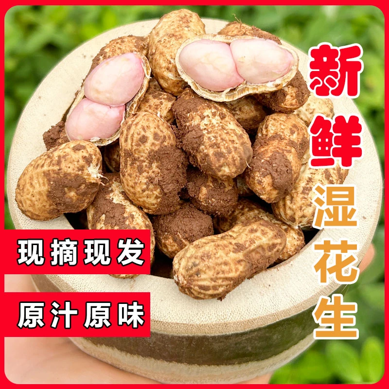 带壳湿花生农家自种鲜花生2025年现摘现发四川带壳带泥粉皮鲜花生
