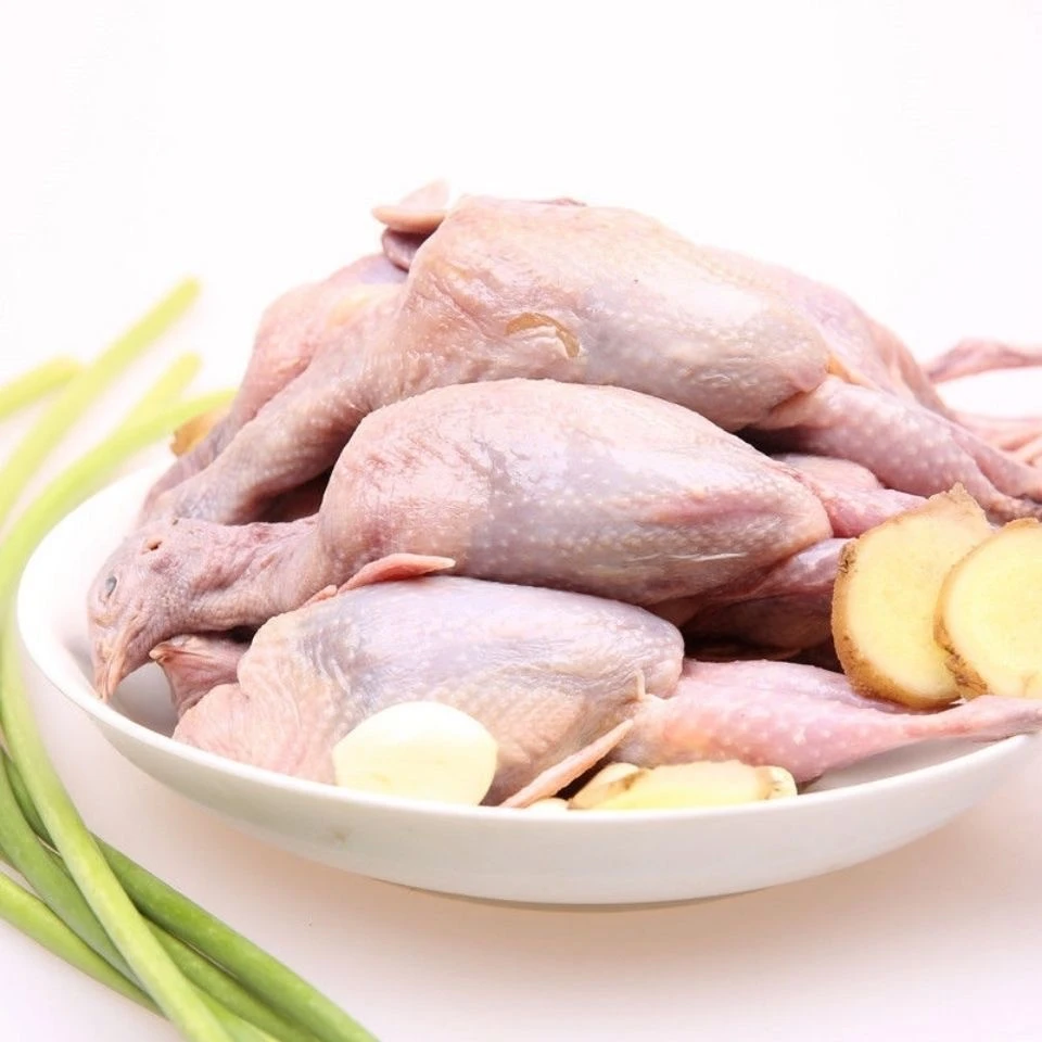 连云港发货新鲜清理 鹌鹑 10-40只 产地冷链营养美味速冻锁鲜
