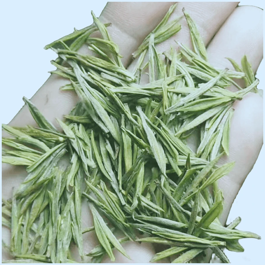 A22高山白茶）2024安吉原产地兰花香白茶