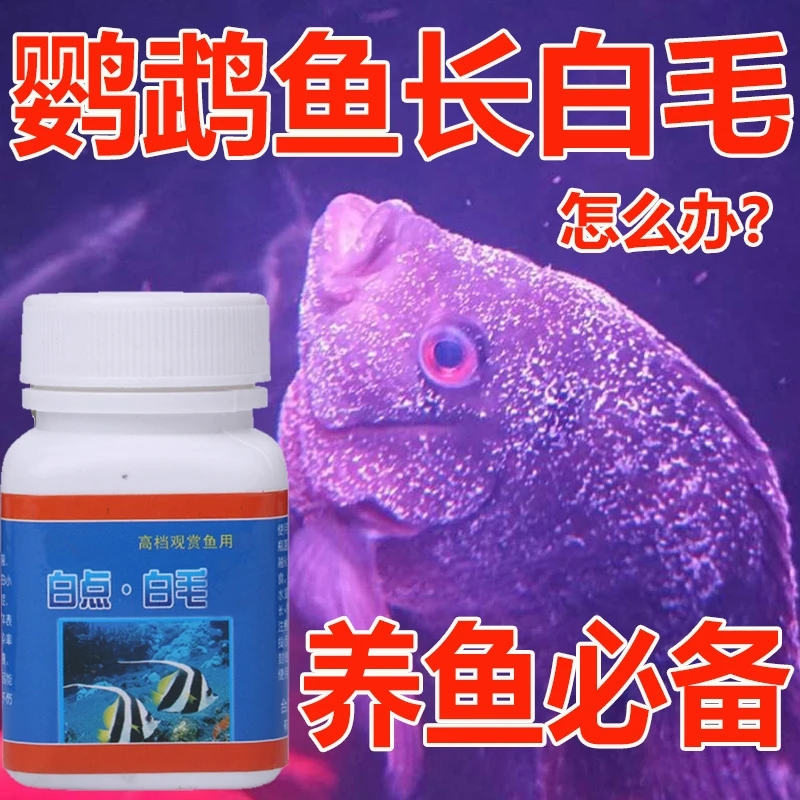 鱼白点白毛粉白点净锦鲤金鱼白毛烂尾病专用粉养鱼必备