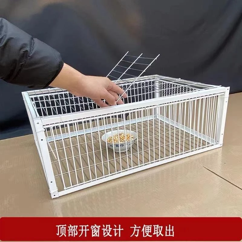 新品加密鸽子笼养殖鸽子神器鸽笼鸡笼家禽撞门笼建材配件耐用结实