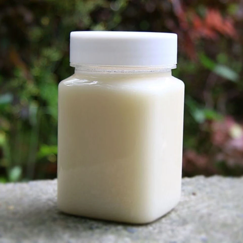 椴树结晶蜜500g装