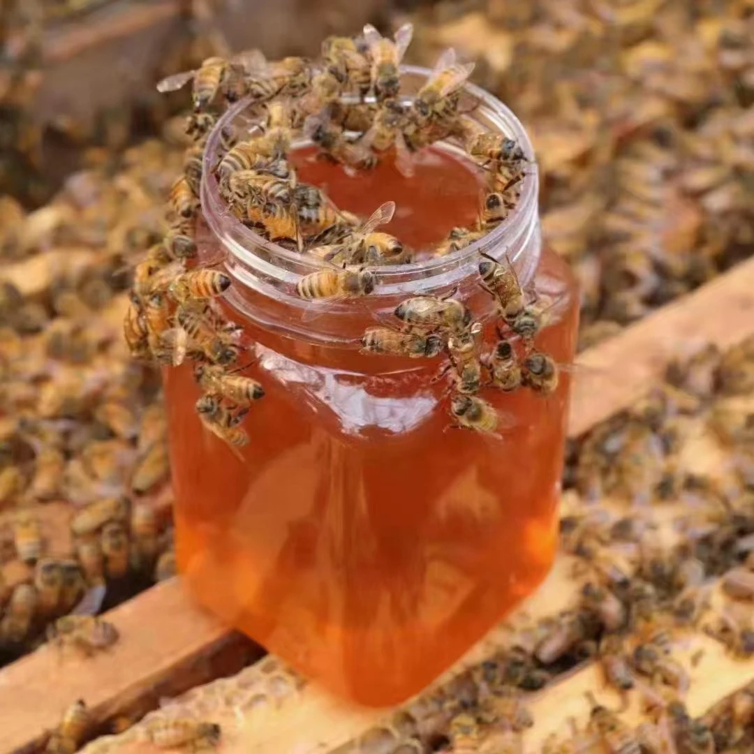 【到手3斤】拍1斤赠2斤深山液态蜂蜜 成熟封盖蜂农自产原汁原味