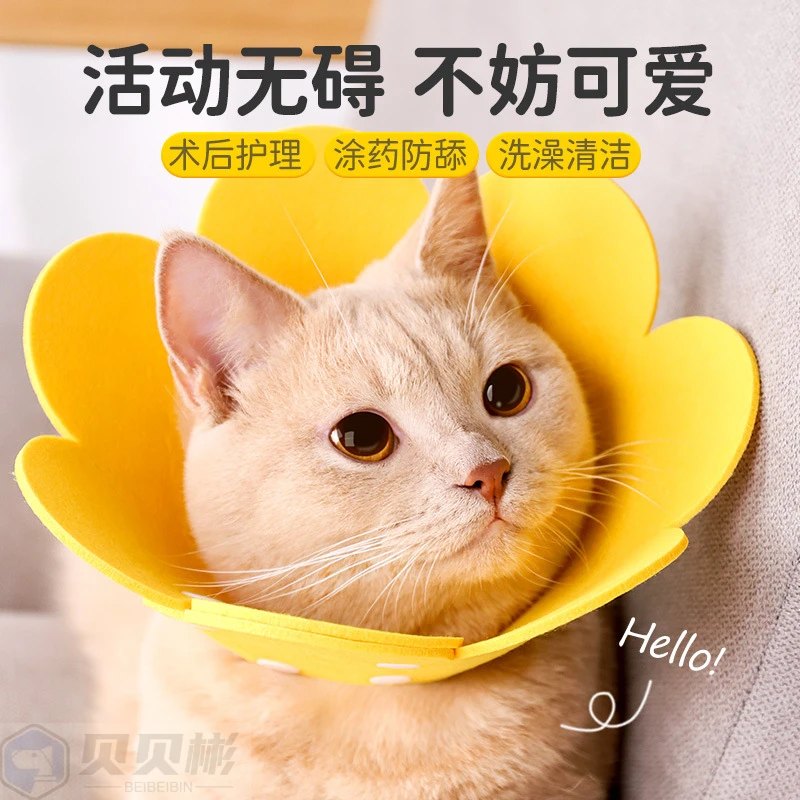 伊丽莎白圈猫绝育项圈猫咪头套防咬围脖伊利莎白圈狗脖圈宠物用品