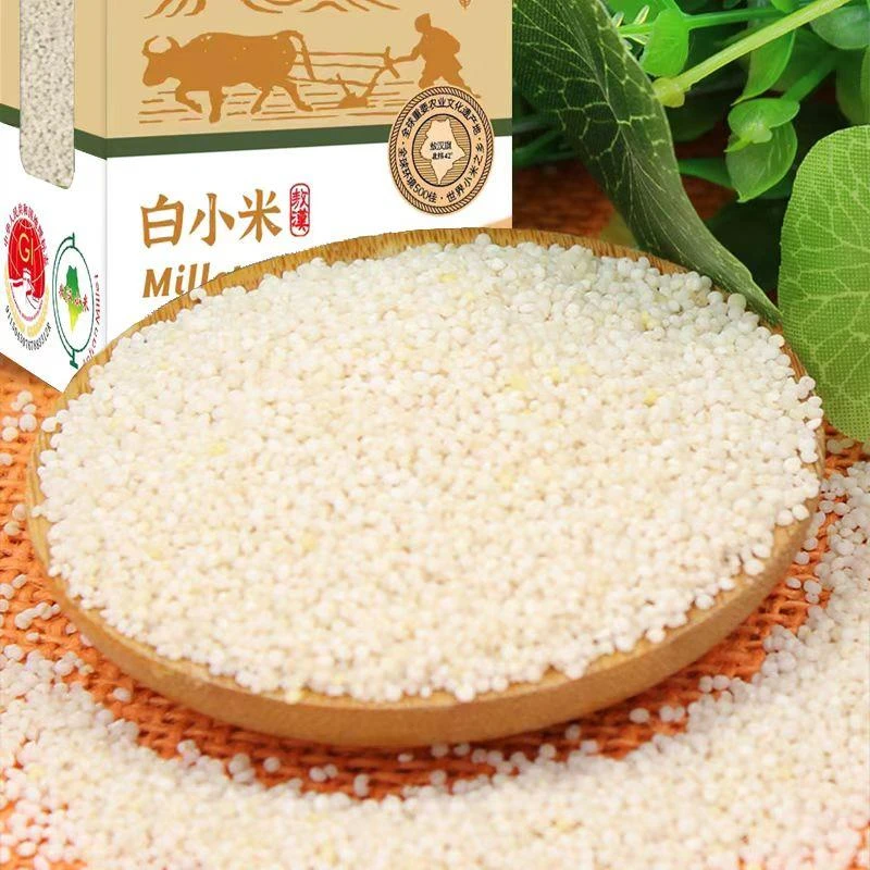 天然白小米真空白色小米敖汉小米粥米内蒙营养粗粮颗粒农家自产