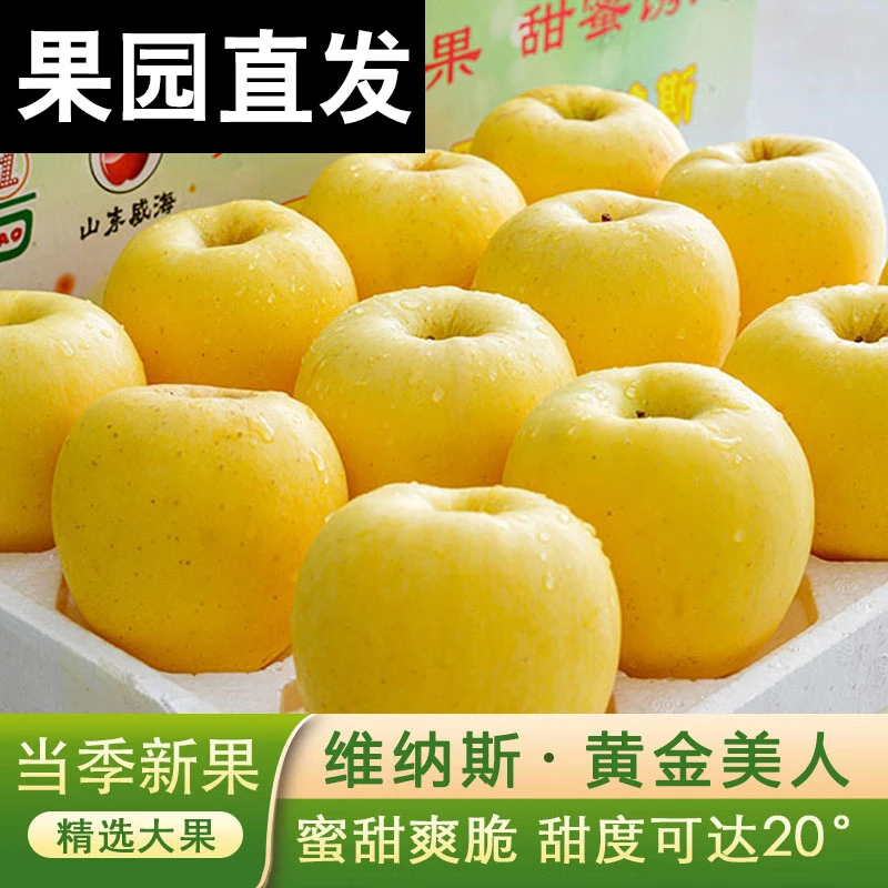 正宗烟台维纳斯黄金苹果新鲜水果当季整箱脆甜多汁非富士奶油苹果