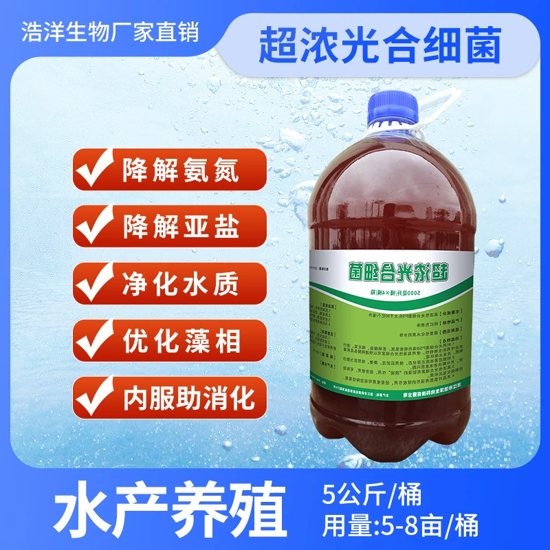 水产养殖光合细菌降氨氮降亚盐净化水质优化藻相厂家直销经典产品