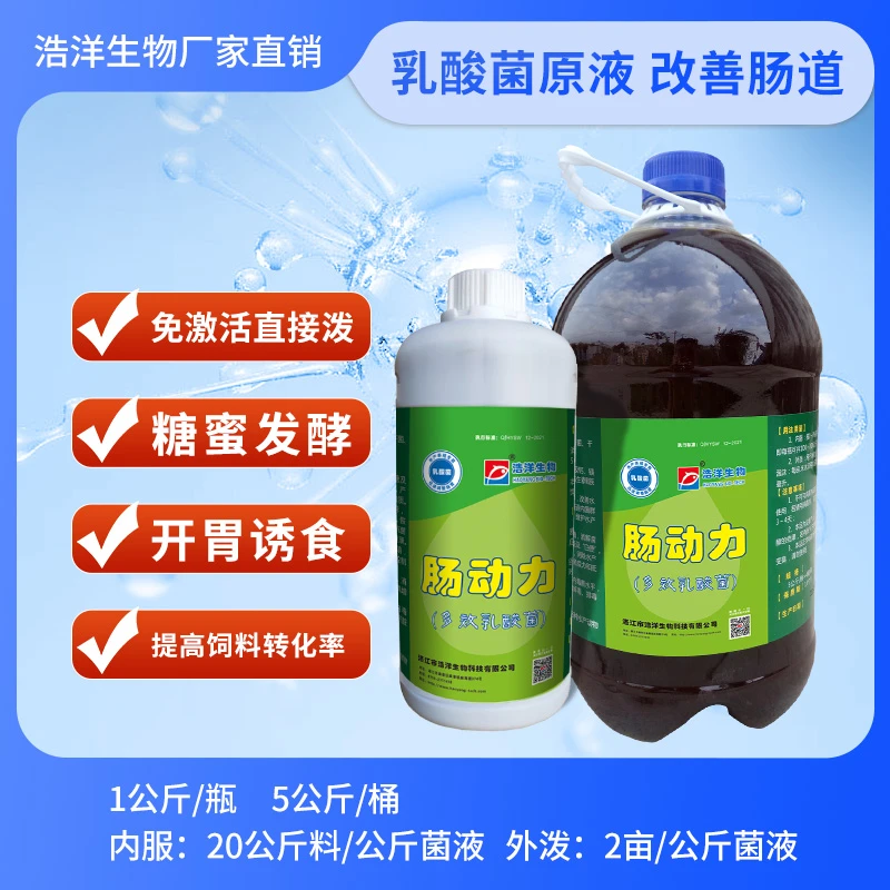 浩洋生物乳酸菌原液肠动力水产养殖厂家直销有效消化动力水产养殖