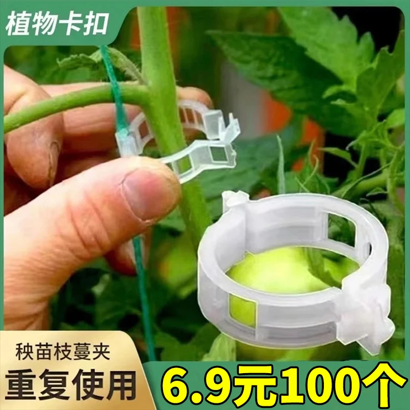 【6.9元100个】果树绿植蔬菜固定卡扣捆绑藤蔓夹环扣植物夹扶蔓夹