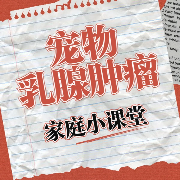宠物乳腺肿瘤小课堂