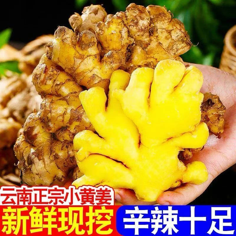 正宗云南山地小黄姜新鲜现挖现发生姜1斤/3斤/5斤/9斤装/
