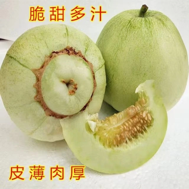 安庆小甜瓜农家露天小香瓜脆甜香非常好吃黄香瓜皮薄肉厚多汁