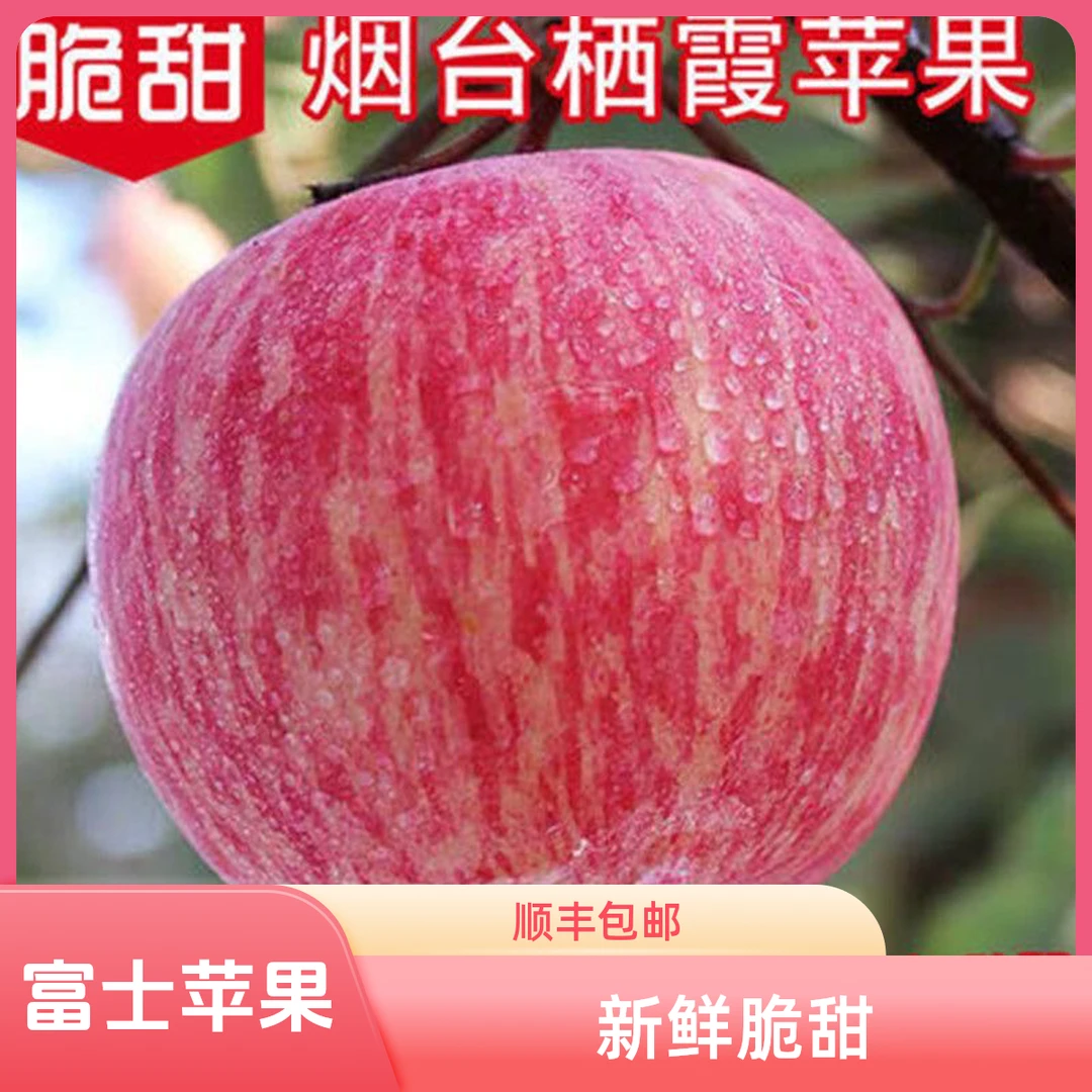 【条纹2001红富士】【顺丰包邮】烟台栖霞苹果新鲜脆甜当季水果