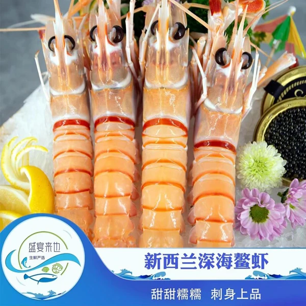 【桑福德新西兰鳌虾.盛宴】新西兰速冻活捕鲜冻刺身天然海鳌虾1000g