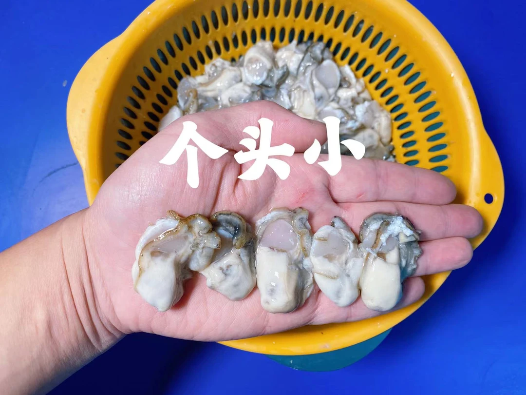小个头生蚝肉 牡蛎肉 2斤装 乳山发货