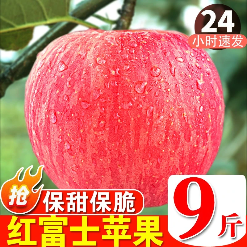 正宗清脆苹果红富士脆甜不打蜡水果新鲜当季现摘1-10斤整箱包邮