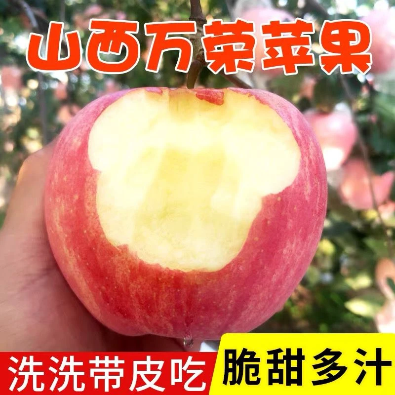 山西冰糖心苹果红富士苹果新鲜水果脆甜1斤/8.5斤原生态天然果园