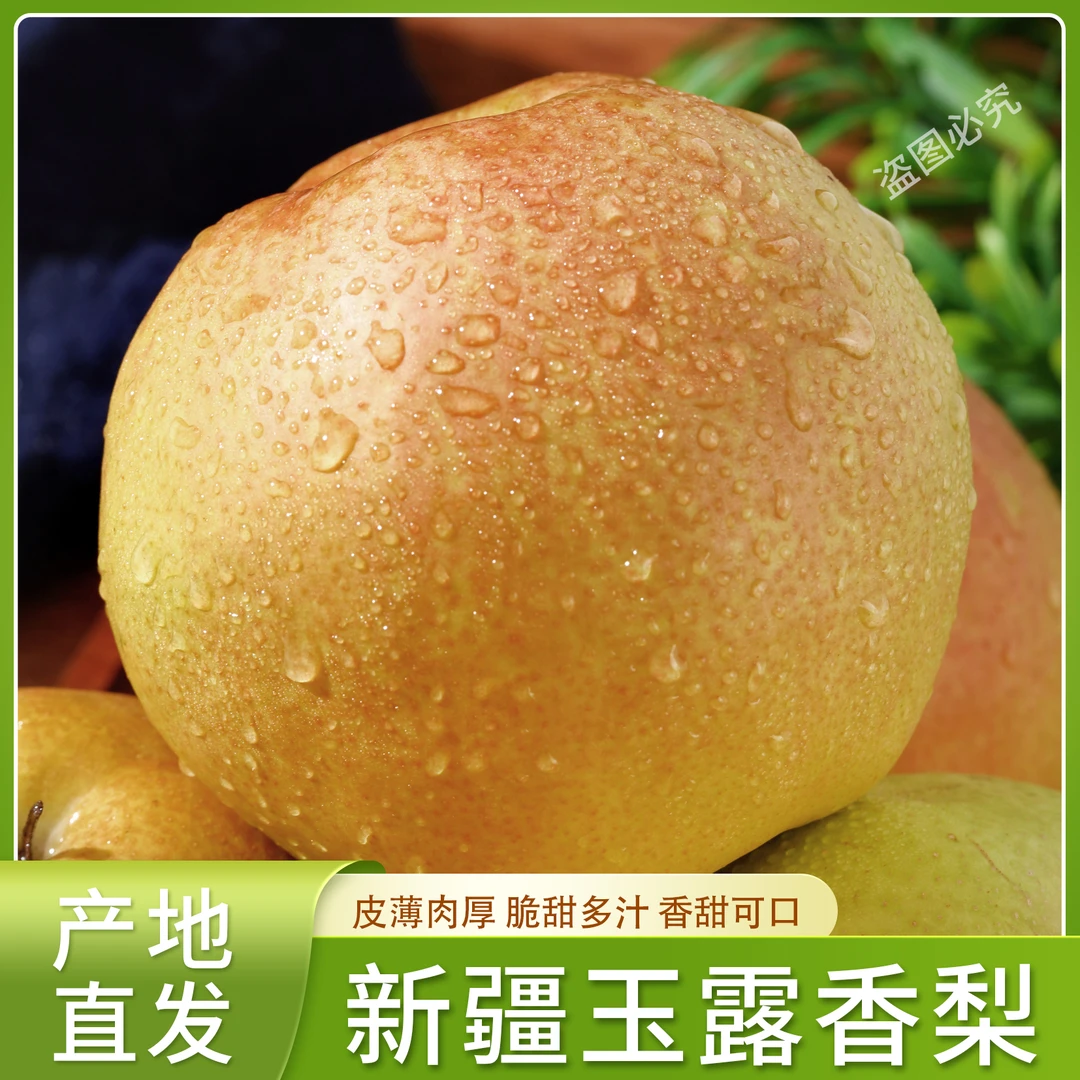新疆雨露香梨9.5斤11.5斤产地直发脆甜多汁顺丰包邮