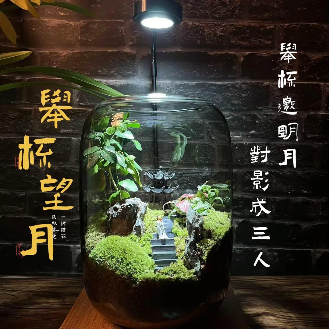 举杯望月苔藓微景观生态瓶桌面绿植盆景室内桌面装饰礼品