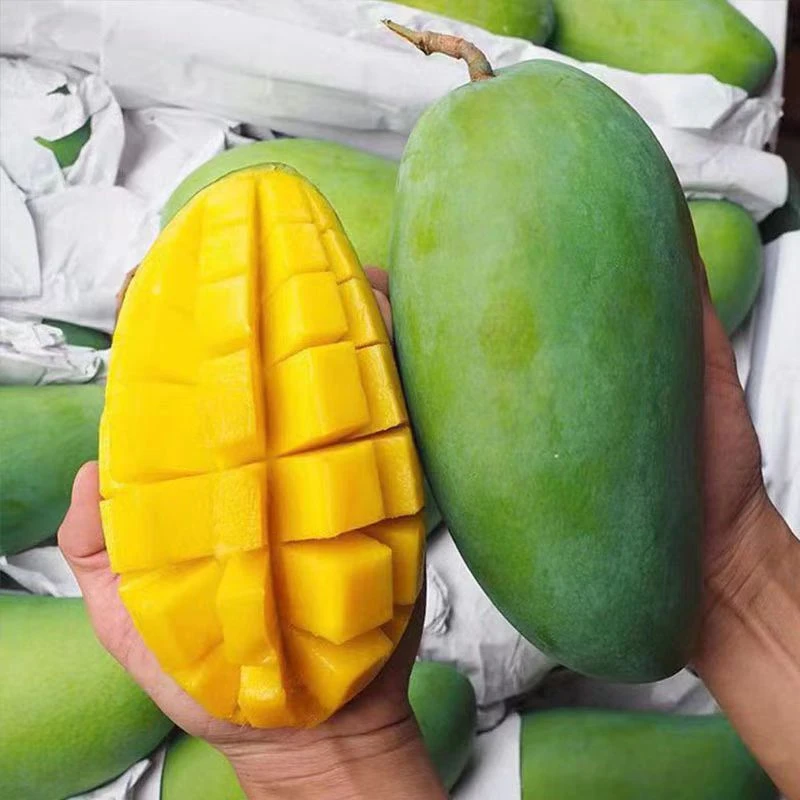 越南进口大青芒单果400-800克