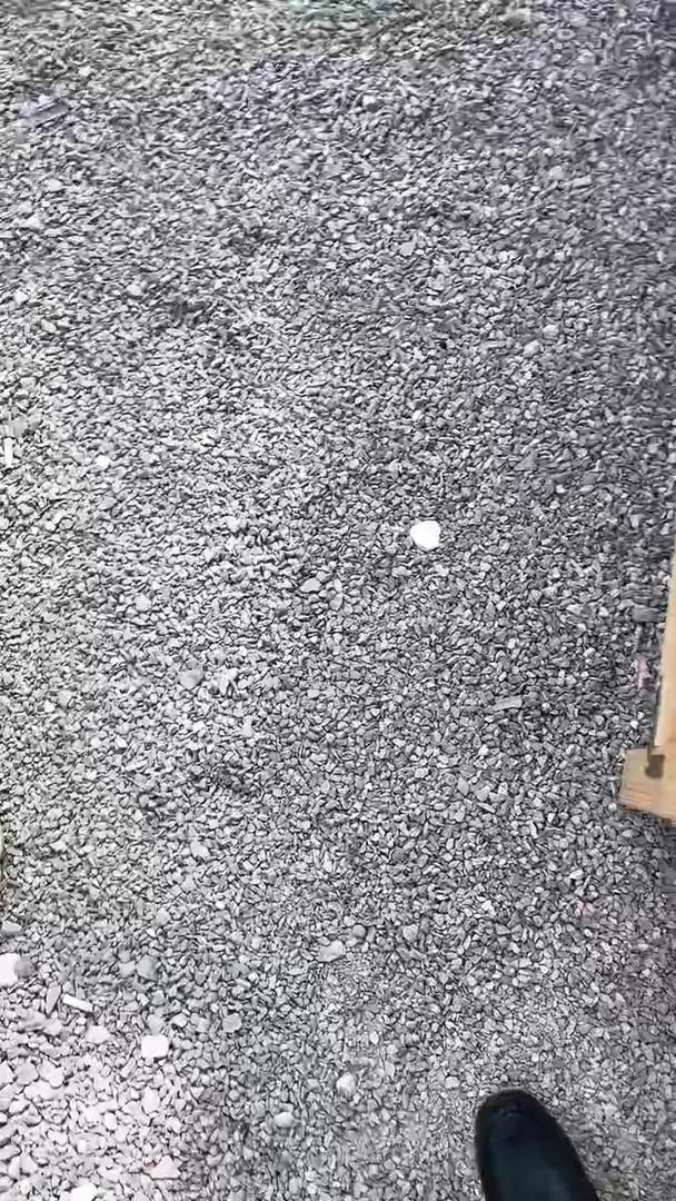 【闪购商品】818多肉