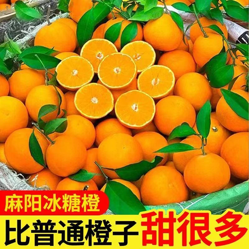 【爆甜】麻阳冰糖橙5/10斤特级大果当季应季新鲜水果橙子酸甜果冻