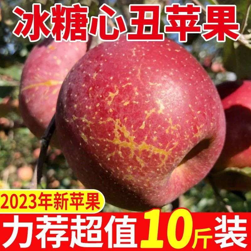 大凉山丑苹果10斤新鲜水果当季现摘盐源红富士冰糖心苹果整箱包邮