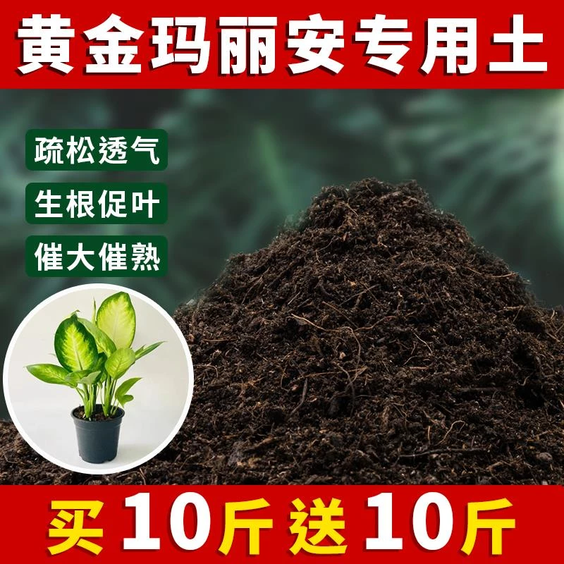 黄金玛丽专用土盆栽土肥料养花泥土阳台透气种植土黄金玛丽营养土