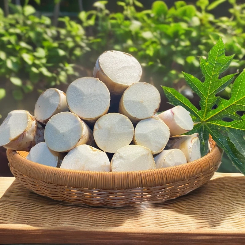 【精品大笋】云南普洱甜竹笋甜龙笋不用焯水 新鲜带壳发 顺丰包邮