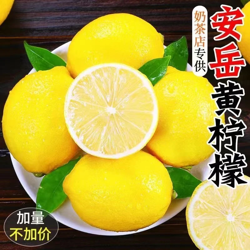 四川安岳黄柠檬 当季新鲜精品柠檬 独立包装 现货速发1.5KG