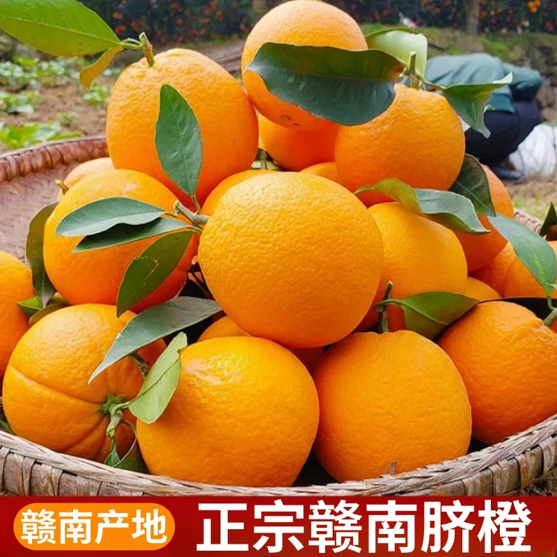 果王赣南脐橙当季新鲜水果自家果园现摘果王带箱10斤包邮