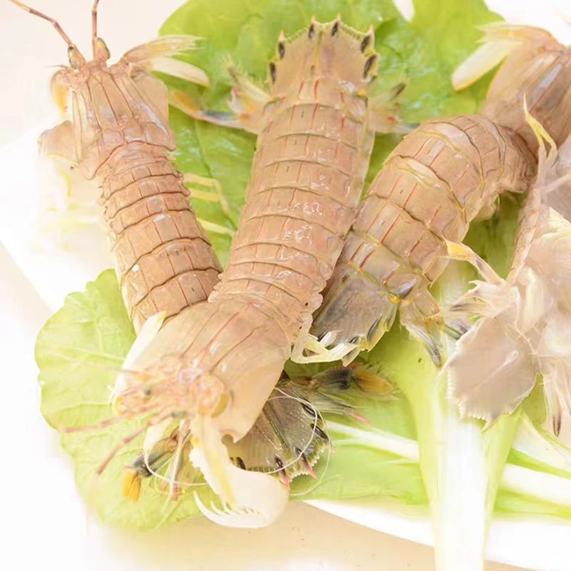 【小小】皮皮虾公母混2.9-3斤【保鲜不保活】嫌小慎拍