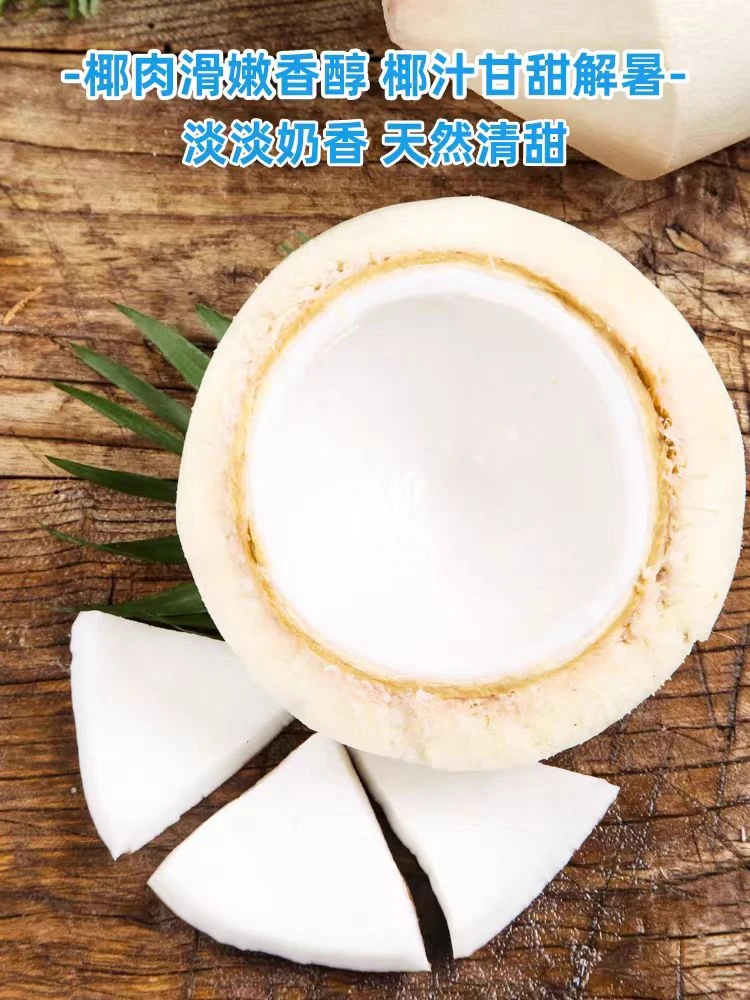 海南椰子新鲜椰青水果当季水果孕妇海南特产文昌热带整箱